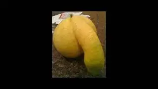 diffrent shape vegitables & fruits #differentshapes #different #shots #vegitables #fruits
