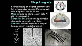 Câmpul magnetic. Produsele vectorilor. Forţa electromagnetică. | Lectii-Virtuale.ro