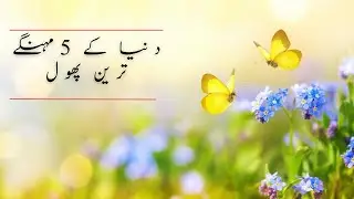 Duniya ka Nayab Phool | دنیا کے 5 مہنگے ترین پھول | Info Plus