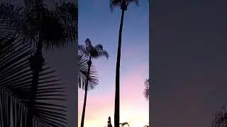 USA CONSTITUTION AMENDMENT 1: LIGHT SEPARATING DARKNESS ORANGE COUNTY CA 01/17/26