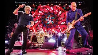 the WHO 