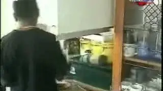 big mishap compilation l Канал Спорт приколы