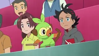 🌿Grookey cute moments| pokemon journeys ep 77.