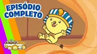 Escorregador SECRETO 😍 Desenho Animado Educativo ♫ Animazoo Kids 🦁🐼🦒🦜🐵