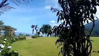 niagara hotel resort perapat danau toba