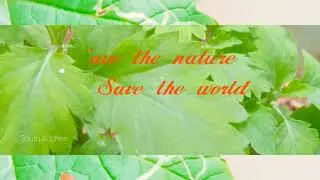 World environment day whatsapp status ll 2020 ll environmental wishes