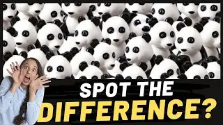 Can You Find The Odd Object Out In These Pictures? | Spot The Difference | Brain EyeQ