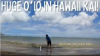 Action Packed Day Fishing In Hawaii Kai!