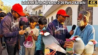 Lalukhet Birds and Parrots Market 1-2-26 Part 2 Karachi | unique and Rare Birds and Parrots Breeds