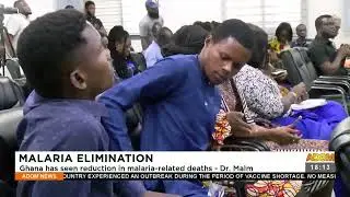 Malaria Elimination: Ghana has seen a reduction in malaria-related deaths - Dr. Malm - Adom TV News