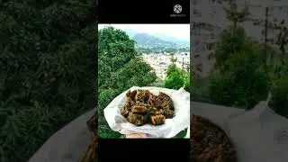 Best foods of uttarakhand #uttarakhandindia @UTTARAKHANDI_dajyu