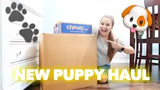 HUGE NEW PUPPY HAUL | Its Kayla Victoria