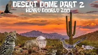 Uncaged Zoo Tours: Desert Dome at the Henry Doorly Zoo Part 2 ft. Ocelot #uncagedzootours