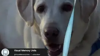 Visual Memory Units - Channel Trailer
