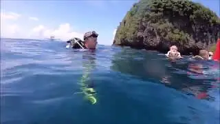 Diving in Gili Tepekong, Bali 2019