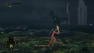 DS:R Kalameet SL1 No Roll/Block/Parry [Flawless]