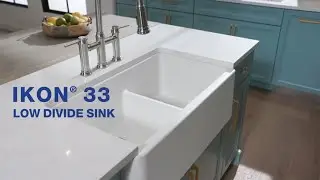 IKON 33 LOW DIVIDE Kitchen Sink | BLANCO