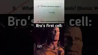 Artistic mindset bro. #exam #answer #meme #shorts #thanos #lonely