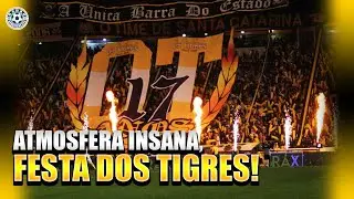 FESTA DA TORCIDA DO CRICI&Uacute;MA! OS TIGRES MOSAICO 3D EM HOMENAGEM AOS SEUS 17 ANOS - CRISCIUMA X CHAPE