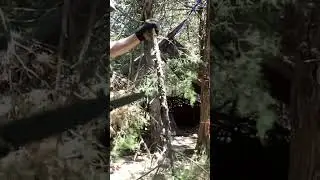 Toor Knives Field 1.0 First Use, Chopping Test #knife #survivalknife #bushcraft
