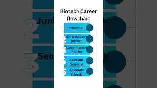 Biotech Career flowchart