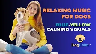 Relaxing Music for Dogs &mdash; DogCalm Blue-Yellow Calming Visuals for Anxiety & Stress