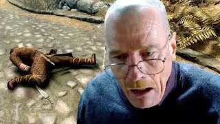 Walter White Attacks Nazeem in Skyrim