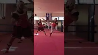 TKD | Start using feints
