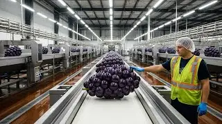 006 Most Satisfying Industrial Process Giant Grapes Edition
