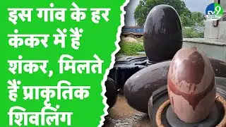 Madhya Pradesh के Bakawan में Narmada river की तली में मिलते हैं प्राकृतिक Narmadeshwar Shivalinga