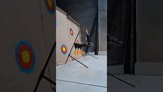 Carabina Gamo shadow 1000 cal 4,5 resortera. Disparos a 30 metros