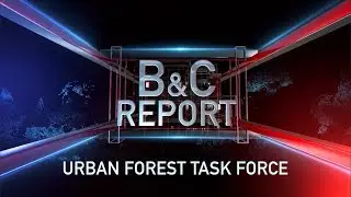 Urban Forest Task Force