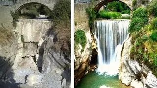 A chi la tutela