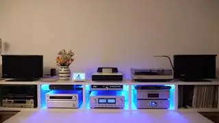 Bose 901 Series VI Speakers