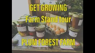 Farmstand tour - Plum Forest Farm