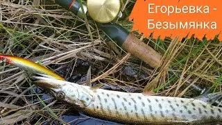 Злые щупаки на воблеры. Егорьевка-Безымянка. Shimano Calcutta, Kuying Rainforest.
