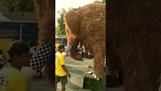 Karnaval Kepung Kediri #karnaval #shortvideo #karnavalkediri #karnavalbudaya