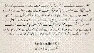 Hadees Sharif/Hadees e Nabvi#islamicstatus#Islamic Hadith