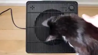 Oskar Humidifier by Stadler Form Review Demo