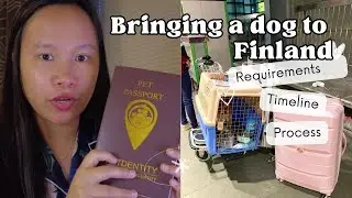 Bringing a dog from Philippines to Finland - Requirements, Process & Timeline + Story Time!