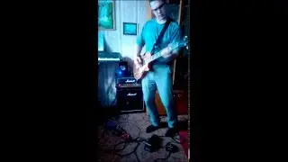 Marshall DSL 15H+Reverb