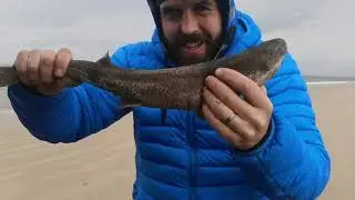 Beach fishing for Dogfish with mackerel, lugworm and drone practice