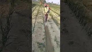 Kisan Machinery Store