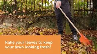 Backyard Fall Maintenance