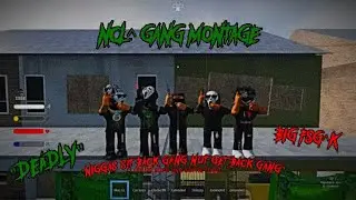 NCL GANG MONTAGE 