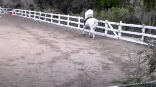 white breeches