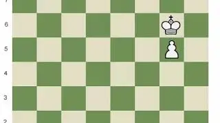 King and pawn endgame basic- Chess