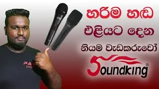 Review Of Soundking EH040 Microphone & EH042 Microphone - Sinhala