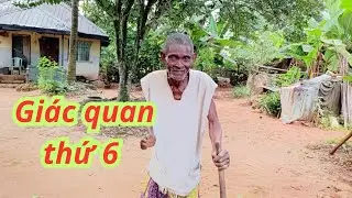 Gặp lại ông cụ tật tay, nuốt không trôi miếng thịt kho tàu