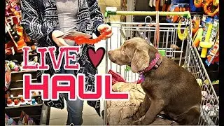 Live Shopping HAUL | Kölle Zoo